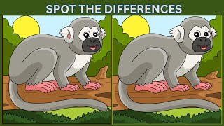 SPOT THE DIFFERENCES, "Unbelievable! " Brain Teasers Ahead! Test Your IQ, Preceptive Genius