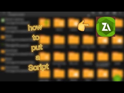 how to put a script