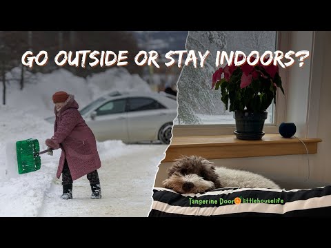 Easy Tech for 60+ Lifestyle, Safety, and Fun