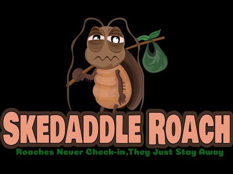 Skedaddle Roach Kickstarter