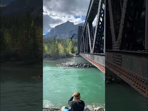 O.M.G are you a cliff jumper?!!!