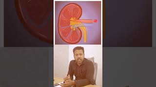 How Does Blood Pressure Affect Your Kidney | Levo Healthcare | Avadi, Chennai #drdsathiyan #bp
