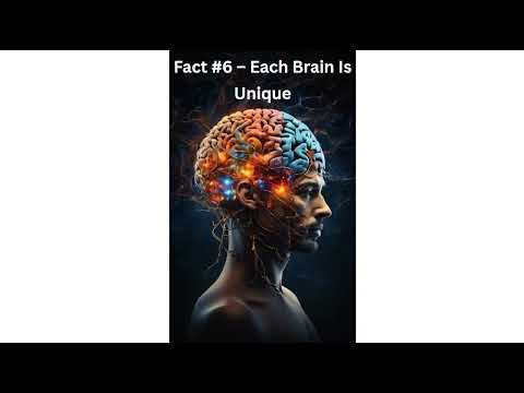 Top 10 Amazing Facts About the Human Brain