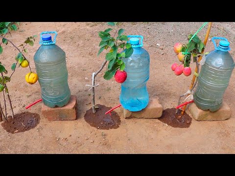 How to make DRIP IRRIGATION SYSTEM easy cheap and fast with recycled plastic bottles