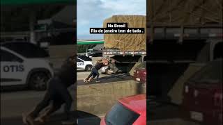 Caminhões Br #shorts #caminhão  #truck #brasil #caminhões
