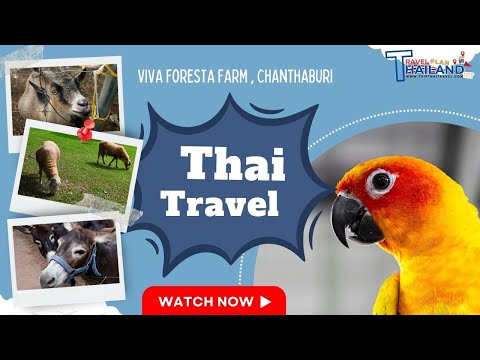 Viva Foresta Farm Chanthaburi Thailand 4K (Thai tourist information)