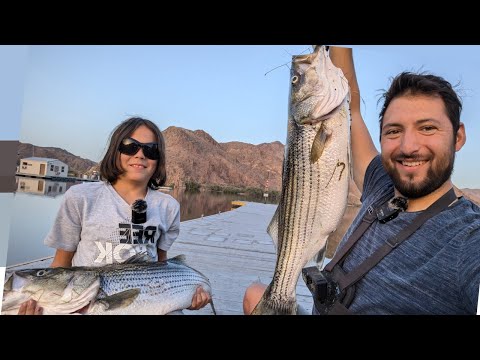 12-Year-Old Beats My Record?! Colorado River Striped Bass Fishing at Willow Beach