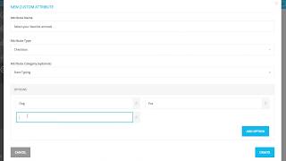 Understanding Custom Attributes
