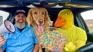 Rubber Ducky Surprises Puppy, Fox & Police with Car Ride Chase
