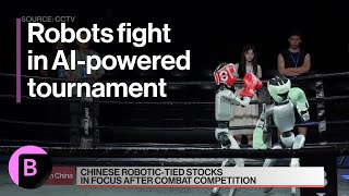 Chinese AI-Powered Robots Show Off Fighting Skills