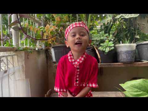 Enzo's United Nations Video representing Malaysia