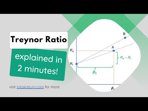 Treynor ratio • Investing concepts explained in 2 minutes • #financialeducation