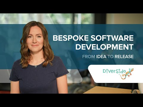 Meet Diversido – Your Trusted Software Development Partner