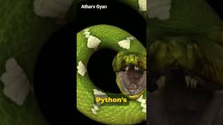 How to use python for web development #python #coding #programming #webdev #softwaredevelopment