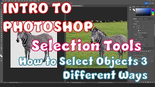 Practicing Selection Tools in Photoshop - Quick Selection, Magnetic Lasso, Object Selection Tool