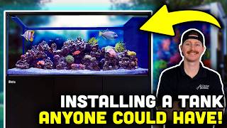 Reef Tank Installation Made EASY! How we Turn Standard into STUNNING!