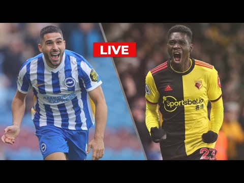 brighton & hove albion vs watford Live