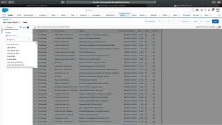 Format Reports Trailhead challenge