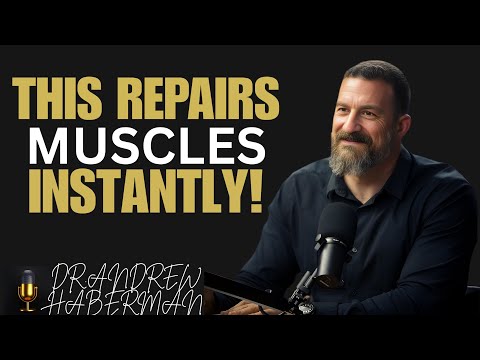 Stop Muscle Loss Now: This Food Rebuilds Strength At Any Age | Dr. Andrew Haberman