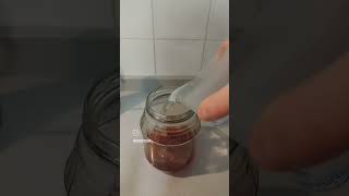 Kombucha de Té Rojo. #kombuchatea #redtea #kombucha #homemade #homebrew