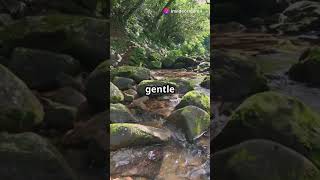 Breath. Grow. Conquer! #NatureInspires #GrowWithNature #NatureMotivation #FindYourPath