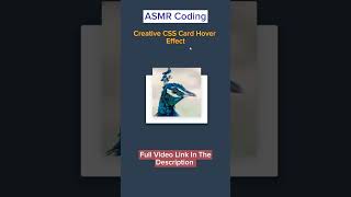 ASMR Pogramming - Creative CSS Card Hover Effect - No Talking #shorts # #asmrprogramming #htmlcss
