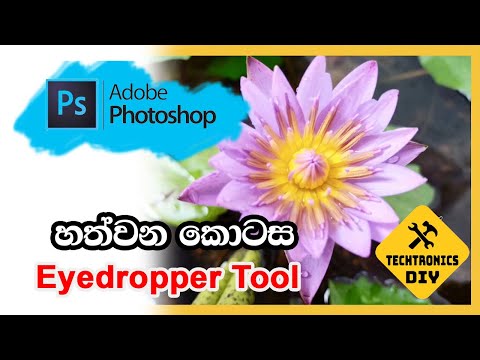 How to use Photoshop Eyedropper tool in Sinhala. part 7 | ලොකු පොඩි සැමට ෆොටෝෂොප්
