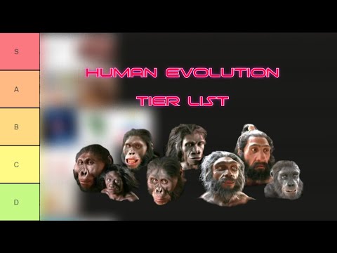 Tier List of Human Evolution