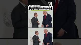Pakistan PM Shehbaz Sharif’s long chit-chat with President Trump in Egypt grabs eyeball