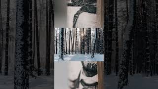 my first Grindset video! #grindset #business #motivation #mindset #finance