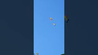 Mount Carmel School Function #schoolfunction #schooldance #schooldays #schooltime #schooldecoration