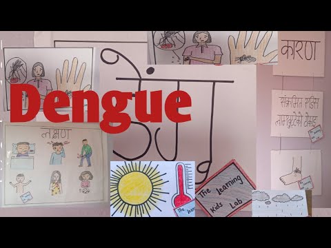 Dengue fever  it's symptoms, causes and prevention