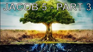 Son of Manasseh's Jacob 5-Other Sheep PART 3