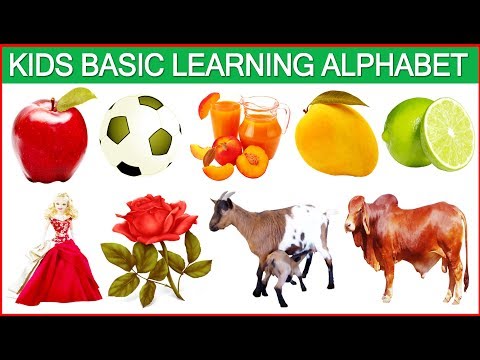 Kids Basic Learning Alphabet. #Kids Toy School