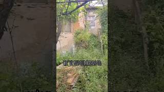 PART 1 - First 9 Months in Our Bulgarian Farmhouse 🇧🇬 #bulgaria #renovation #abandoned #farmhouse