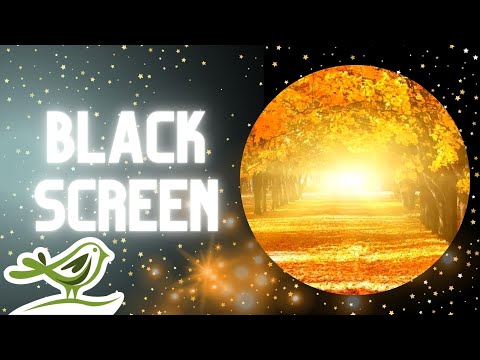 [NO ADS] Always (Revisited) | Beautiful Sleep Music & Black Screen by Peder B. Helland