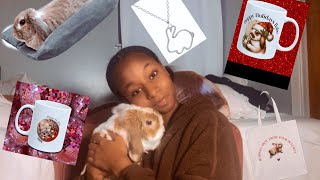 9 Adorable Gift Ideas for Bunny Lovers Under $30 - Bunny Gift Guide 🎄