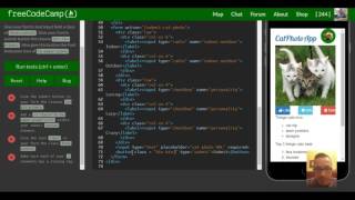 Style Text Inputs as Form Controls, freeCodeCamp Bootstrap Review, lesson 17