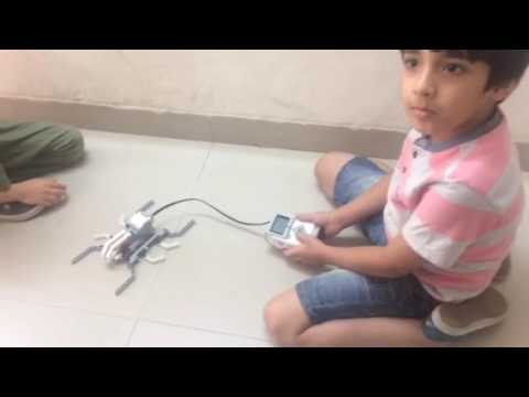 Robotic worm @ Incrediminds