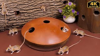 Cat TV Mouse Maze | Tiny Mice Pop Out Everywhere! | Cats Go Crazy | 4K UHD Video for Cats