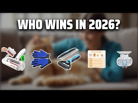 The Top 5 Best Cat Hair Brush in 2026 - Must Watch Before Buying!