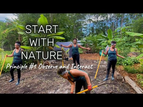 Neglected This Spot in My Food Forest… Here's What I Learned