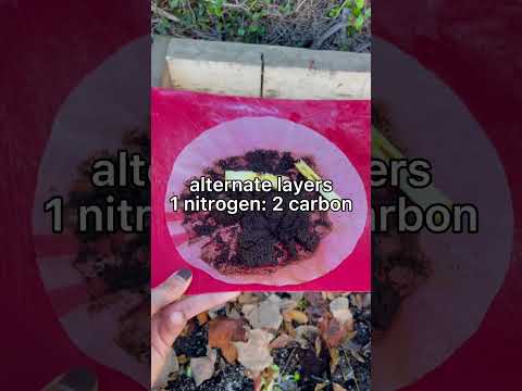 How to Make Your Own Compost | composting for dummies | birdofparadise | 1 min composting  #shorts
