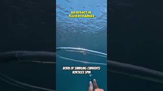 Fluid Dynamics #physics