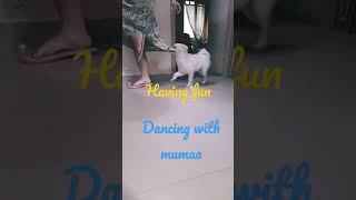#funnnyshorts #animals #dancing dog#dog_features #doglovers #dogsofinstagra..😊 #funnyvideo