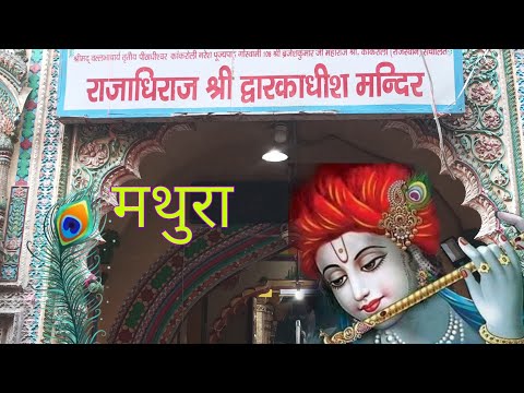 द्वारिका धीस मंदिर मथुरा dwarkadheesh temple #bageshwardhamsarkar