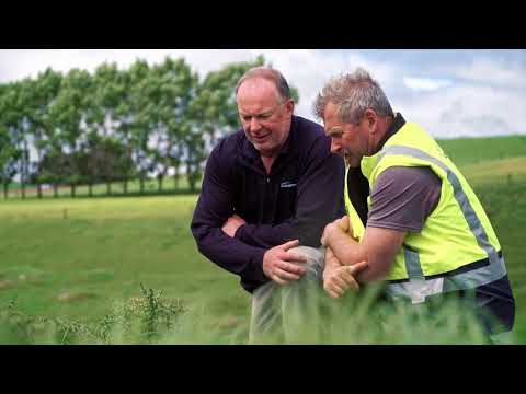 Cambrilea Weed Spraying - Californian Thistle Control