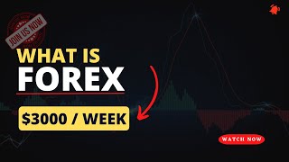 What Is Forex Trading? SIMPLIFIED  ||  How to Make Money Online?