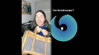 The New Pet #loona #petrobot #petbot #cooltech #loonarobot #keyitech #pet #companion #fyp