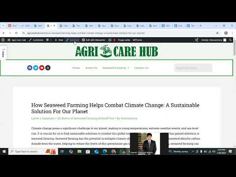 Organize and  Set Up a WordPress  Website Page, Post and Category for Building a SEO Friendly System
